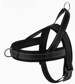 Actual PawGuard harness product photo
